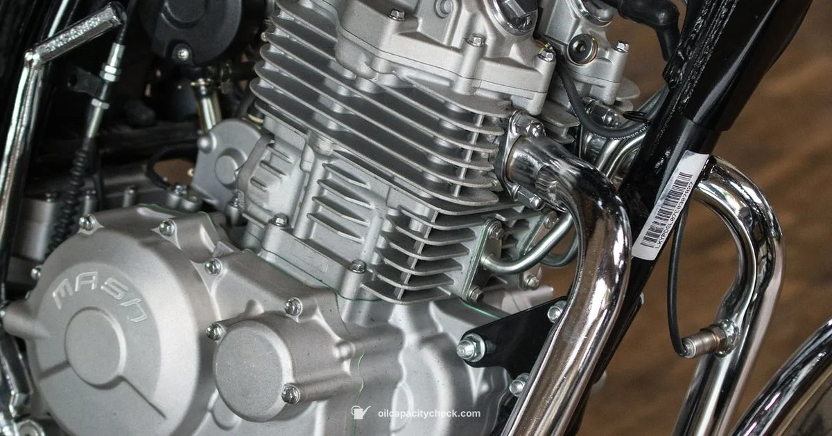 Oil Change Guide - Oil Capacity Check