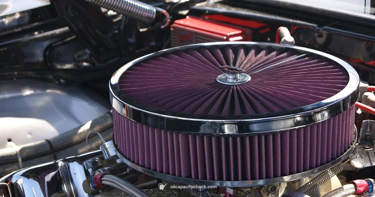 Oil Filter Guide - Oil Capacity Check