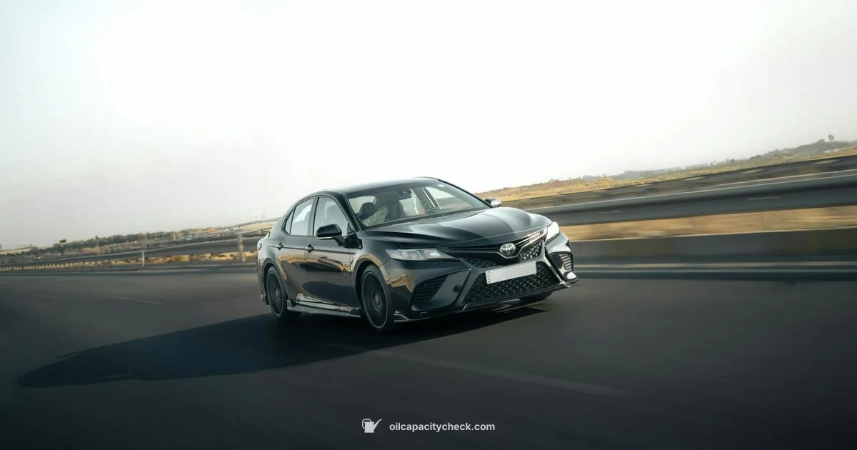 Camry Oil Capacity Camry Oil Capacity - Oil Capacity Check